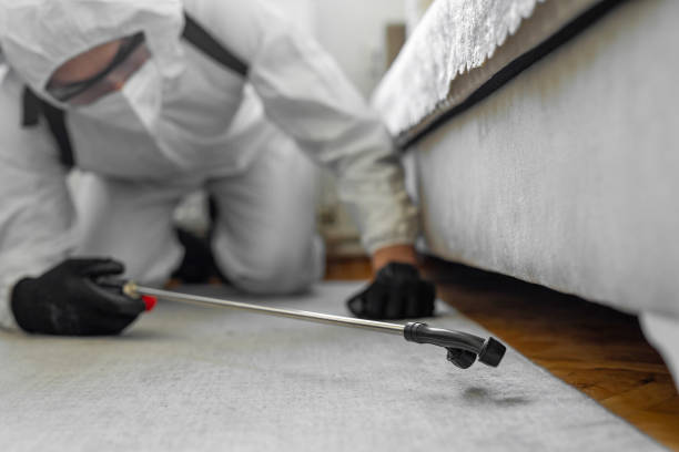 Professional Emergency Pest Control technician working in Brodheadsville, PA