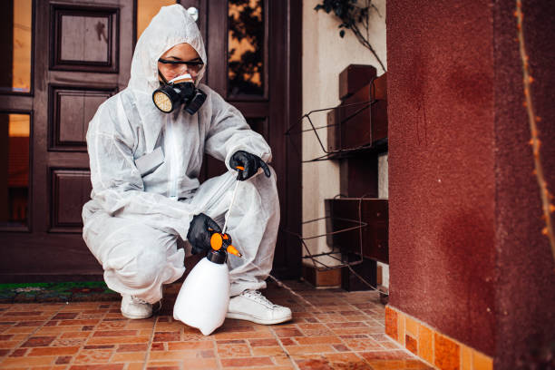 Reliable Emergency Pest Control contractor in Brodheadsville, PA by Nex Pest Control