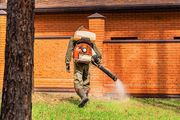 Trusted Rodent Control service in Brodheadsville, PA - Nex Pest Control